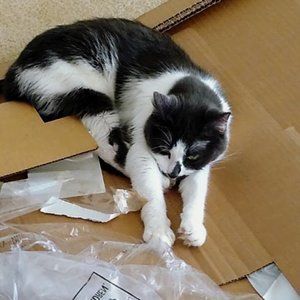 Meet your Posher, Travis